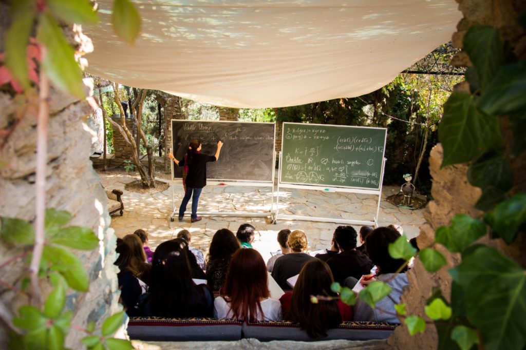 Mathematics Village of Ali Nesin:  An Evolving Communion of Nature and Science