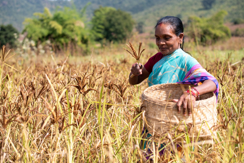 From Disaster to Development:  Exploring Rural Livelihoods